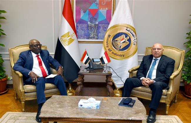 كامل الوزير: اتفاق لتنفيذ أعمال صيانة عدد من كباري السودان بواسطة شركات مصرية