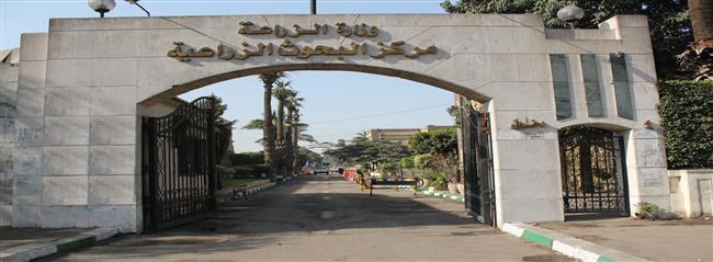 الثلاثاء.. "البحوث الزراعية" ينظم الملتقى الثالث للذكاء الاصطناعي في التعليم