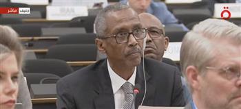 ممثل السودان في مجلس حقوق الإنسان يطالب بتصنيف الدعم السريع كميليشيا إرهابية