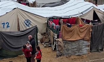 اللجنة المصرية بغزة: استجابة فورية لدعم مخيمات النزوح مع دخول الشتاء