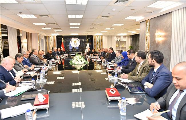 وزيرا "الإنتاج الحربي" و"الإسكان" يبحثان مستجدات مشروعات المبادرة الرئاسية "حياة كريمة"