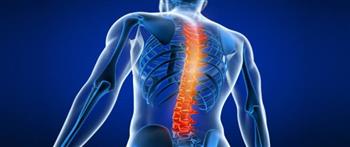 هكذا تؤثر خشونة الفقرات على المثانة والأمعاء!