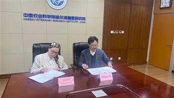 "الزراعة": تعاون مصري - صيني لتعزيز الابتكار في مجال الصحة الحيوانية