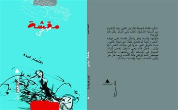 قريبًا.. صدور "مقشّة مرعي" للكاتبة اعتماد عبده عن هيئة الكتاب