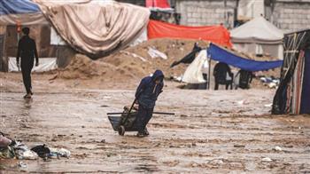 (أونروا) تُحذر: الاحتياجات في غزة مُلحة وآلاف العائلات بلا مأوى