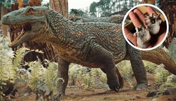 عمرها 240 مليون سنة.. اكتشاف بقايا سحلية تشبه الديناصورات