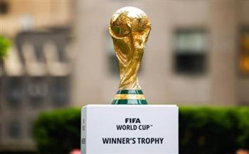 بسبب الكلاب.. مطالبات بسحب تنظيم كأس العالم 2030 من المغرب