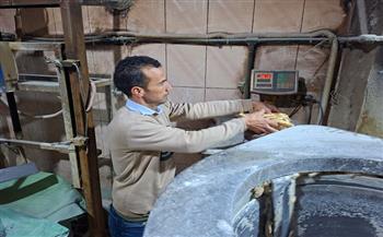 حملة رقابية مكبرة تضبط 15 مخالفة تموينية وصحية بمخابز قريتي شبرا نباص وصرد بمركز قطور