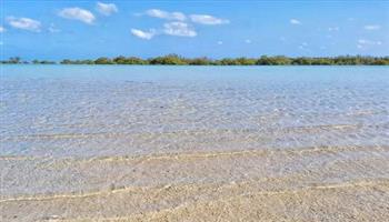 مشروعات «السواحل».. شهادة ثقة