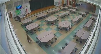 دخل من الشباك.. غزال شارد يقتحم مدرسة أمريكية (فيديو)