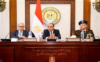 وزير الخارجية يستعرض محددات موقف مصر من التطورات في غزة