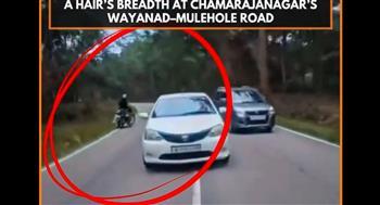 قطيع أفيال يطارد راكب دراجة.. فيديو يحبس الأنفاس