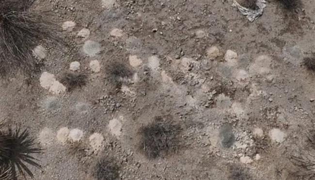 300 كومة من البقايا البشرية في الصحراء.. صدمة تهزّ لاس فيجاس