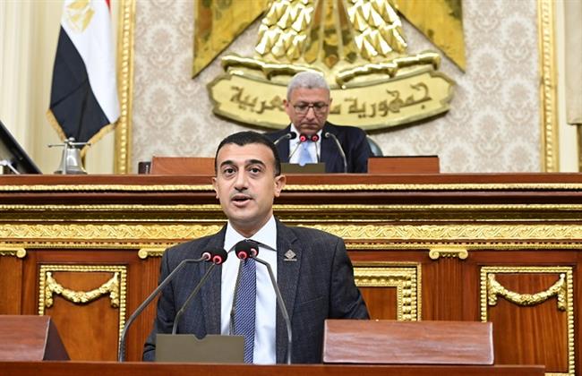 مجلس النواب يوافق على فرض رسم 50 جنيها على التصديقات و20 دولارا على التأشيرات بالخارج