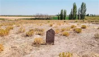 بعد 92 عامًا.. حل لغز القبر المعزول في تركيا لامرأة منبوذة