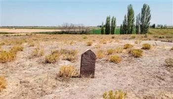 بعد 92 عامًا.. حل لغز القبر المعزول في تركيا لامرأة منبوذة