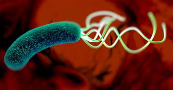 انتبه...أعراض تشعر بها حال الإصابة بجرثومة المعدة