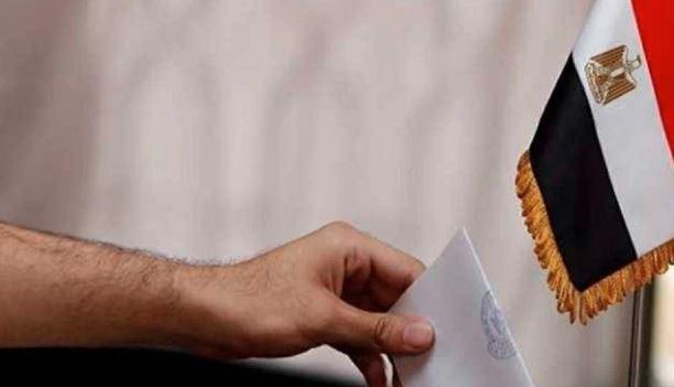 رئيس المنظمة المصرية الألمانية: العملية الانتخابية تسير بشكل جيد