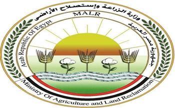 "الخدمات البيطرية": تحصين أكثر من 1.5 مليون طائر بالمحافظات خلال أكتوبر