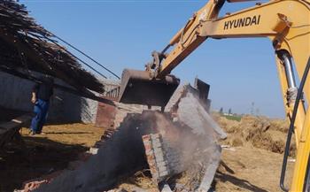 بمساحة 1655 مترًا.. إزالة 4 حالات بناء مخالف على الأراضي الزراعية بجنوب بورسعيد 