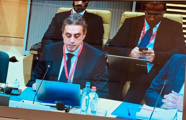 مصر تشارك في الاجتماع الأول لمجموعة مانحي فلسطين في بروكسل