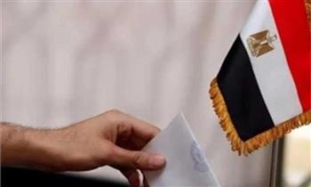 الاثنين.. بدء الاقتراع داخل مصر في المرحلة الثانية من انتخابات مجلس النواب