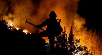 سلطات الإطفاء في كوريا الجنوبية تنجح في السيطرة على حريق في منطقة غابات "يانج يانج"