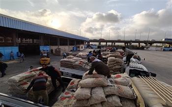 الاتحاد العام للحاصلات البستانية يبدأ تسليم تقاوي البطاطس للمزارعين ببرنامج زمني وأولوية حجز