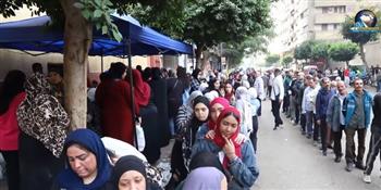 السيدات يتصدرن المشهد الانتخابي بلجان حلوان