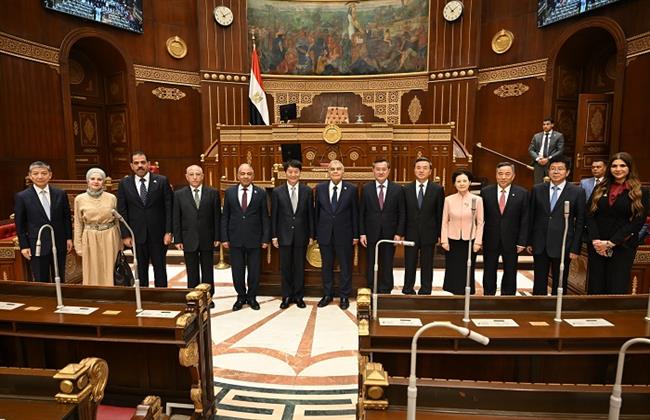  رئيس مجلس الشيوخ يلتقي نائب رئيس المجلس الوطنى للمؤتمر الاستشاري و السياسي للشعب الصيني