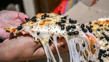 أغلى وجبة.. "بيتزا النمل" تثير الجدل في البرازيل (فيديو)