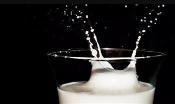 أحدث ابتكار.. حليب مستخلص من نفايات صناعة النبيذ