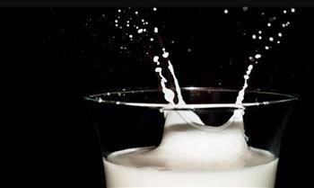 أحدث ابتكار.. حليب مستخلص من نفايات صناعة النبيذ