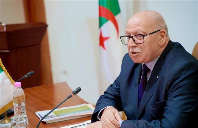 وزير الصناعة الجزائري: فتح خط بحري مباشر بين ميناء الجزائر وميناء الإسكندرية لتيسير حركة التجارة  