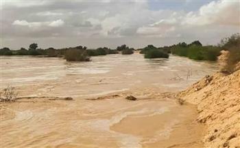 وزير الري يتابع موقف التعامل مع الأمطار في البحر الأحمر وشمال سيناء