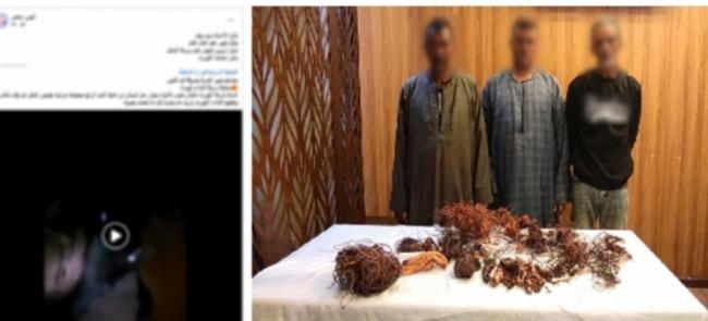 القبض على المتهمين بسرقة كابلات كهربائية بالجيزة