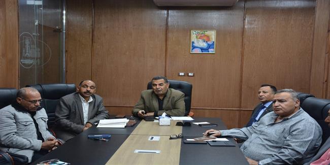 الوادي الجديد تستعد لإطلاق المرحلة الرابعة من مبادرة "100 مليون شجرة"