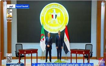 وليد جاب الله: العلاقات المصرية الجزائرية تاريخية وشهدت دفعة قوية في 2024