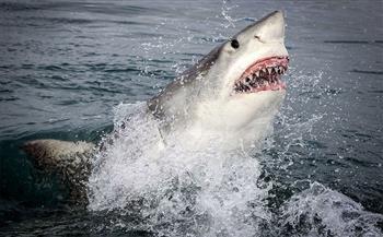 هجوم قرش يُسفر عن مقتل شخص وإصابة آخر في أستراليا