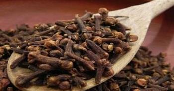القرنفل ...فوائد صحية عديدة