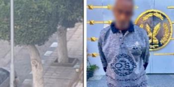 القبض على عاطل لسرقته أسلاك كهربائية من عمود إنارة في بورسعيد