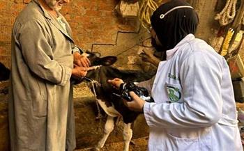 تحصين وعلاج 315 رأس أغنام وماعز ودواجن بقافلة بيطرية بالعريش