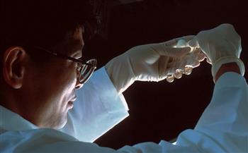 خلايا الزومبي.. حبة دواء يمكنها إطالة عمر الإنسان حتى 150 عامًا