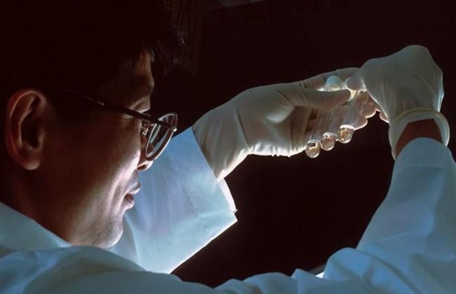 خلايا الزومبي.. حبة دواء يمكنها إطالة عمر الإنسان حتى 150 عامًا