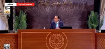 «لا داعي للقلق».. أول تعليق من رئيس الوزراء على انتشار فيروس جديد في مصر