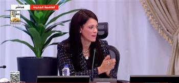 وزيرة التخطيط: الاقتصاد المصري حقق أعلى معدل نمو منذ سنوات