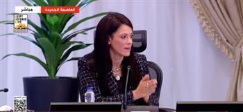 وزيرة التخطيط: الاقتصاد المصري حقق أعلى معدل نمو منذ سنوات