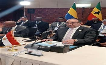 وزير قطاع الأعمال: مصر من الدول الرائدة في قطاع الأدوية.. ومستعدون لدعم توطين الصناعة بالقارة الأفريقية