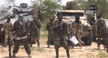 النيجر: مقتل 81 إرهابيا خلال عمليات واسعة في جميع أنحاء البلاد