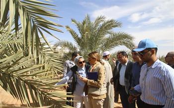 نائب محافظ الوادي الجديد ومديرة "اليونسكو" تتفقدان مزرعة الجمعية الشرعية بالداخلة 